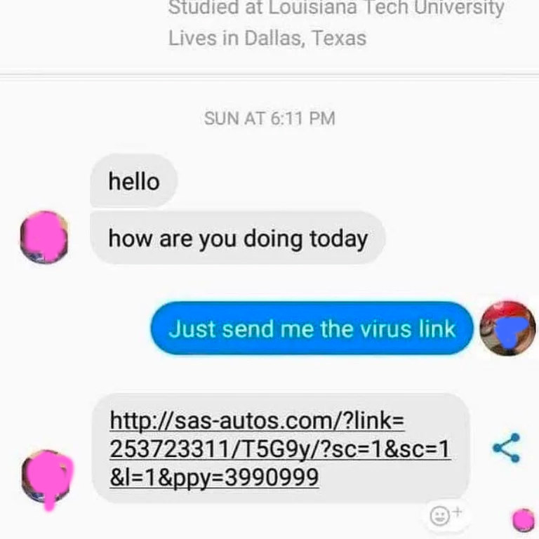 person asks a scammer just to send the virus link and they do