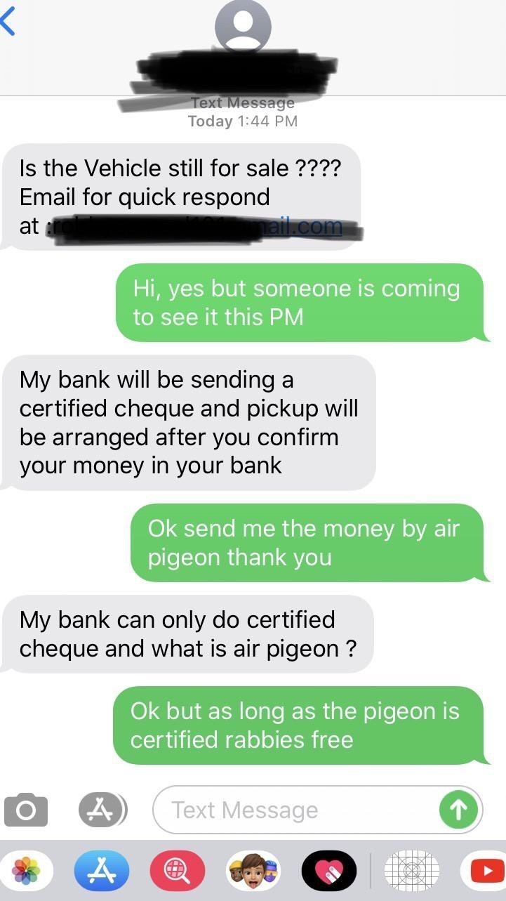 person tells a scammer to send their payment via pigeon and they ask what a pigeon is