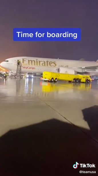 An Emirates plane being loaded with horses