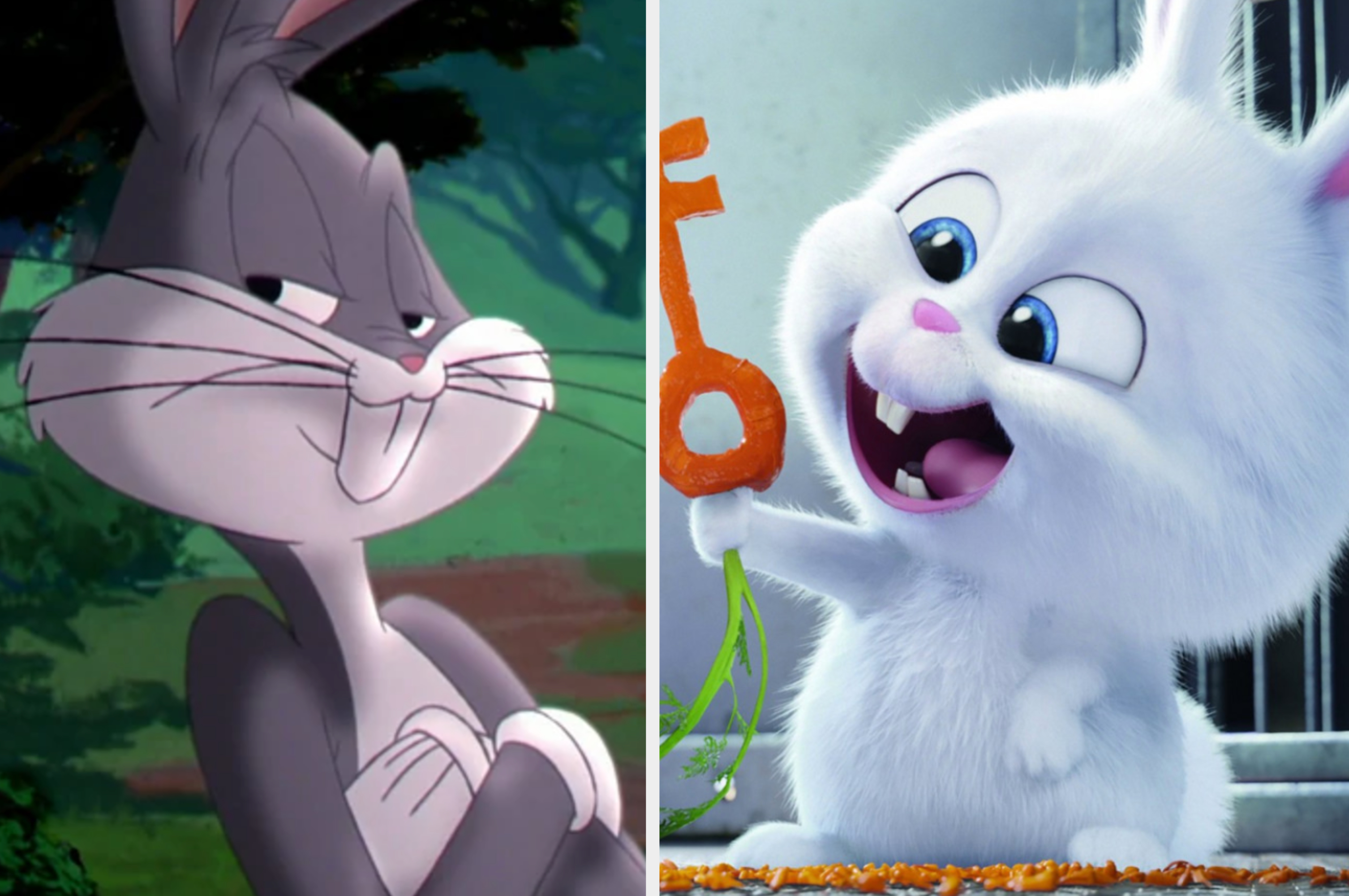 Which bunny character do you like most? –