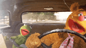 A shot from the Muppets of Kermit The Frog and Fozzie bear driving happily.