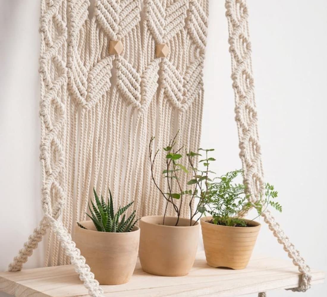 A wall-hanging shelf with 3 small potted plants placed on it