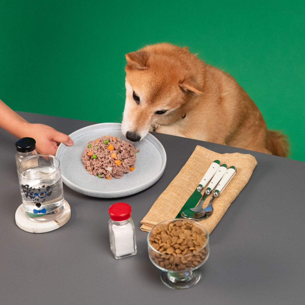 a dog about to eat a meal on a table