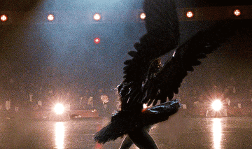 一个芭蕾舞演员的姿势与巨大的羽毛黑色翅膀