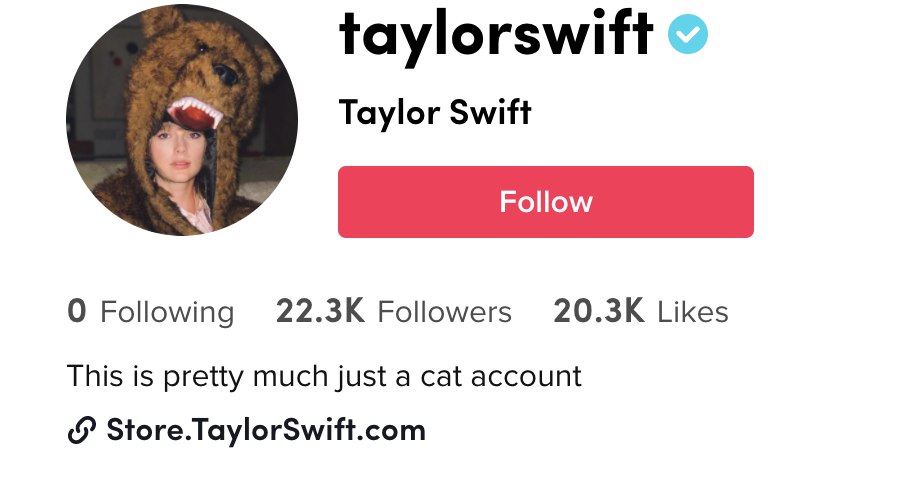 Screenshot of Taylor's TikTok profile with 23.3K followers, 20.3K likes and the bio "This is pretty much just a cat account"