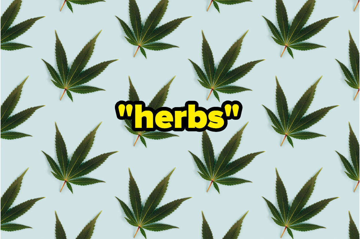 pot leaves with the word &quot;herbs&quot; in quotes in the middle