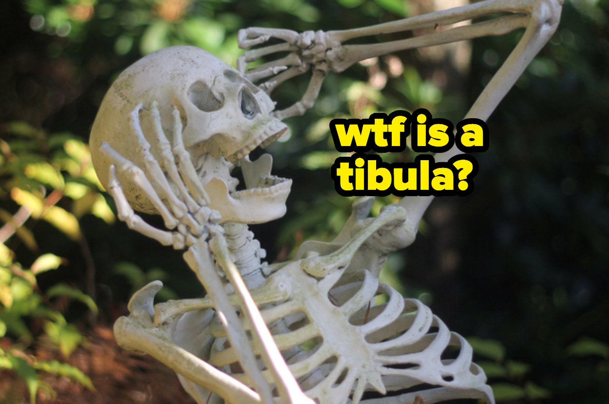 screaming skeleton with &quot;wtf is a tibula?&quot; by its head