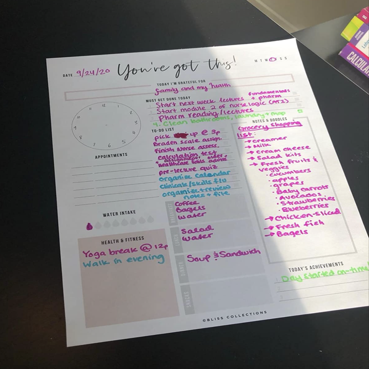 reviewer image of the planner page filled out