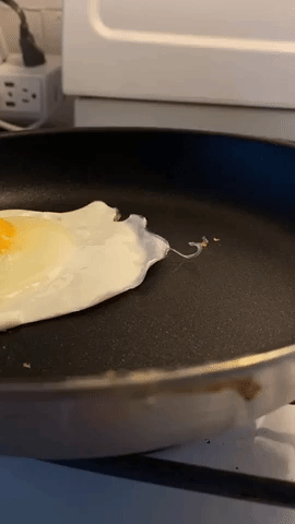 gif of the egg being cooked in the pan