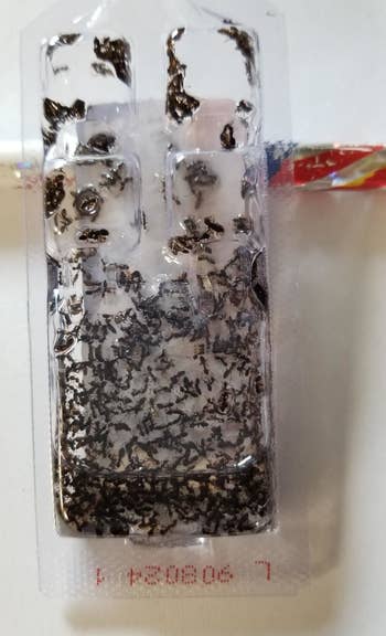 a reviewer photo of the trap-filled with ants 