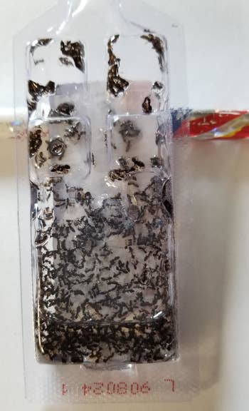 a reviewer photo of the trap-filled with ants 