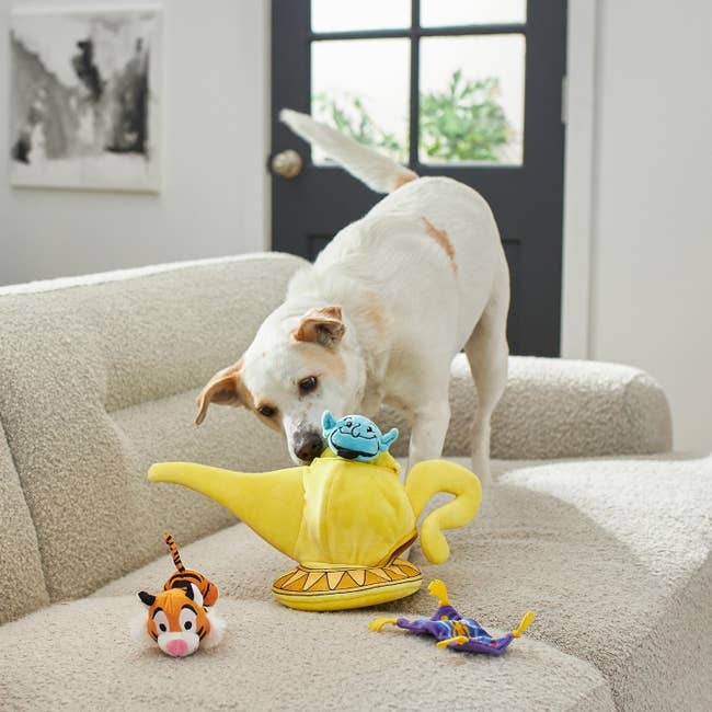 a dog playing with a plush lamp and small genie, raja, and magic carpet toys