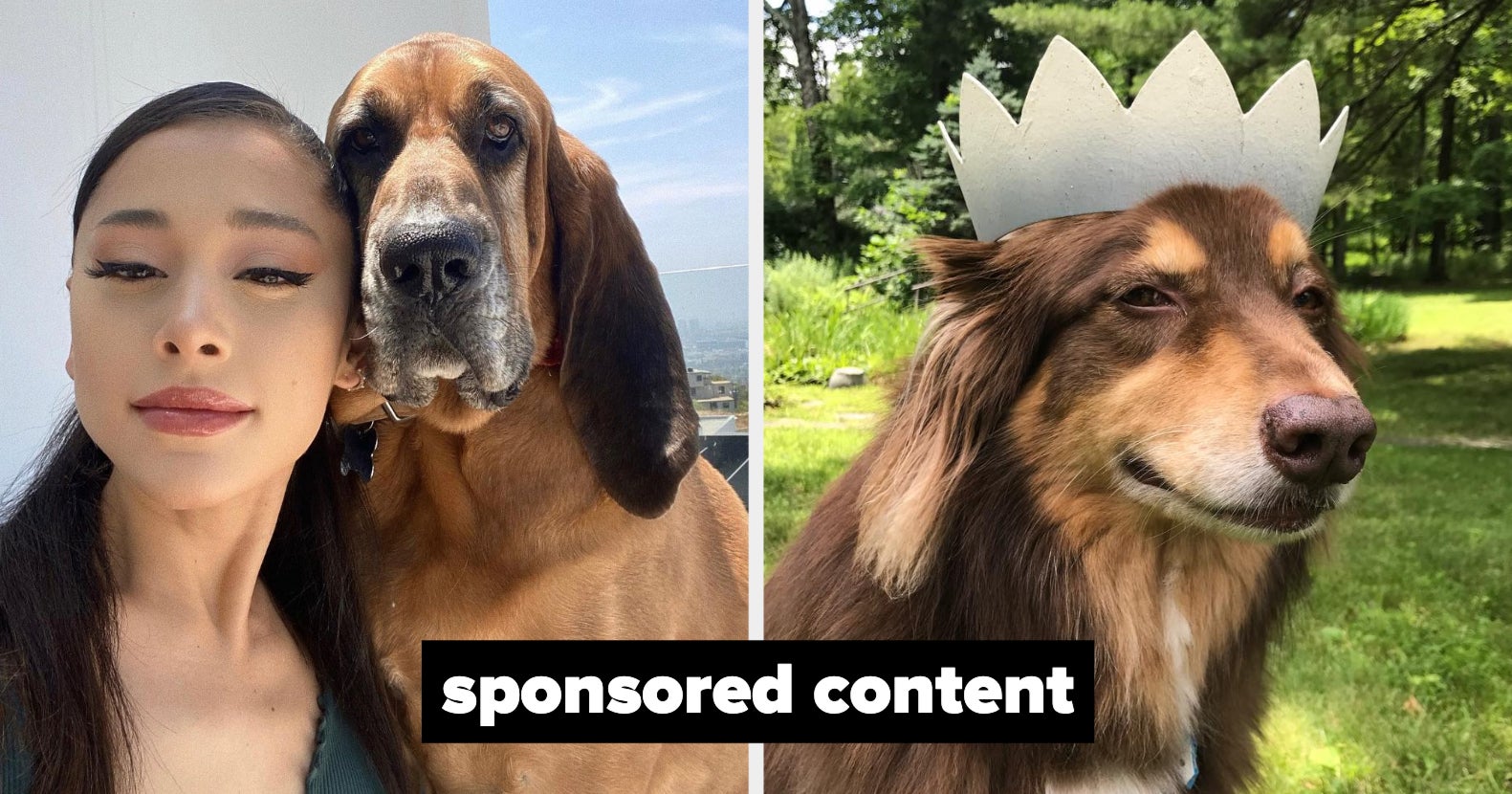 Celebrity Dogs That Are Living Their Best Life