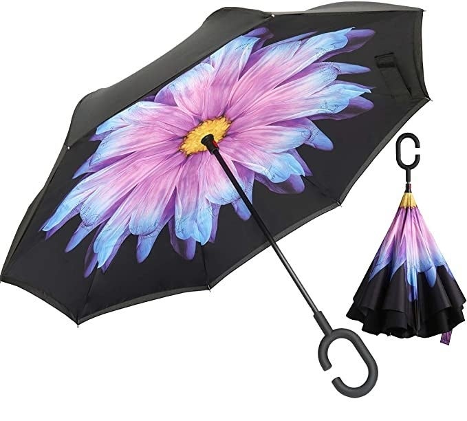 umbrella with flower design on inside
