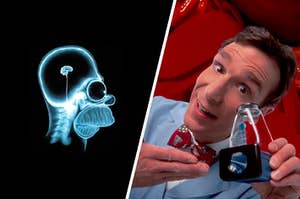 Bill Nye the Science guy standing beside an X-ray of homer simpson and his tiny brain