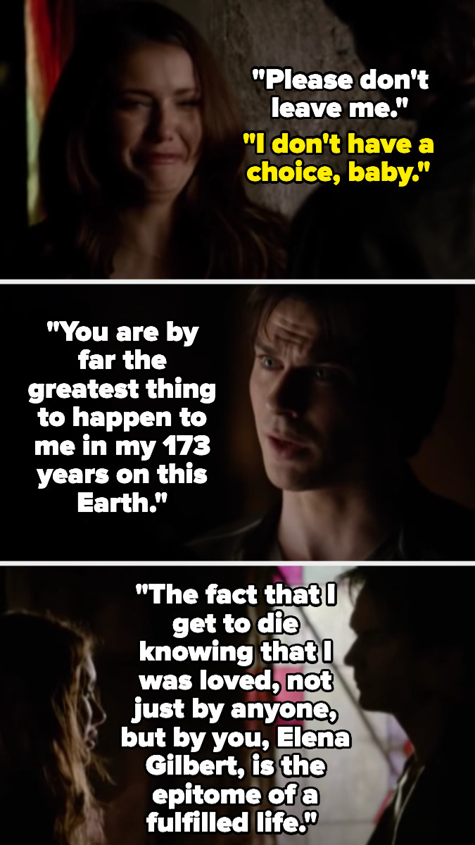 Elena begs Damon not to leave her. He says he doesn&#x27;t have a choice, and that she was the best thing to ever happen to him. He can die knowing he was loved by her