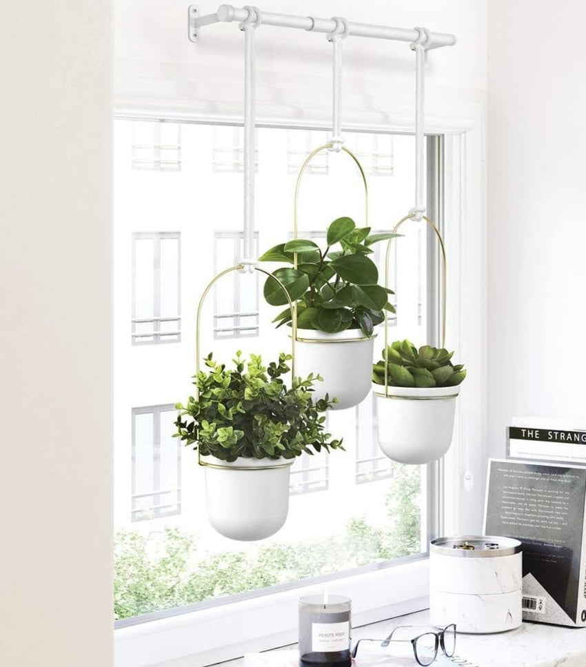A metal hanging contraption with three plants hanging off of it