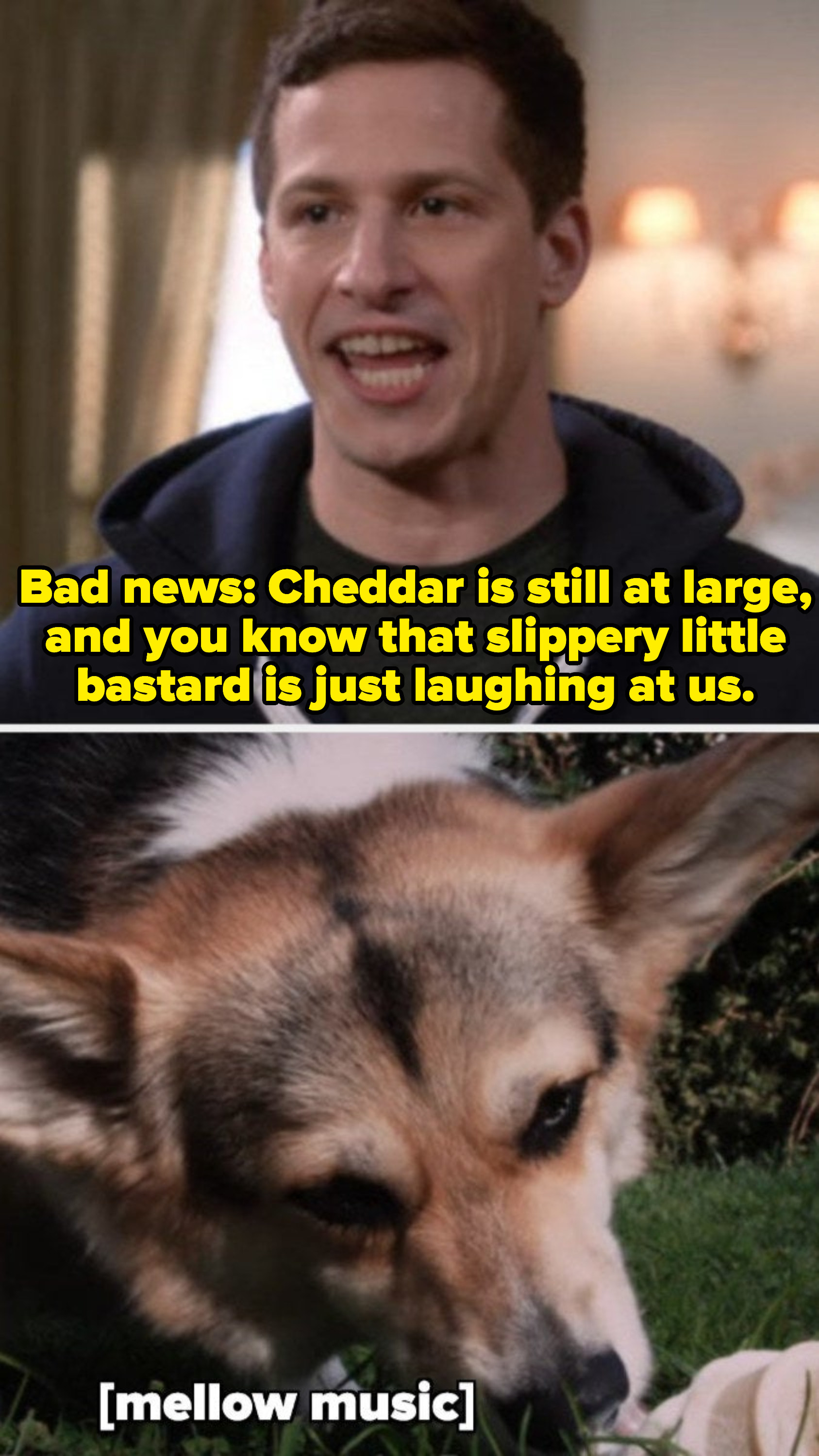 Jake to the 99: &quot;Bad news: Cheddar is still at large, and you know that slippery little bastard is just laughing at us&quot; Cut to Cheddar peacefully licking an ice cream cone