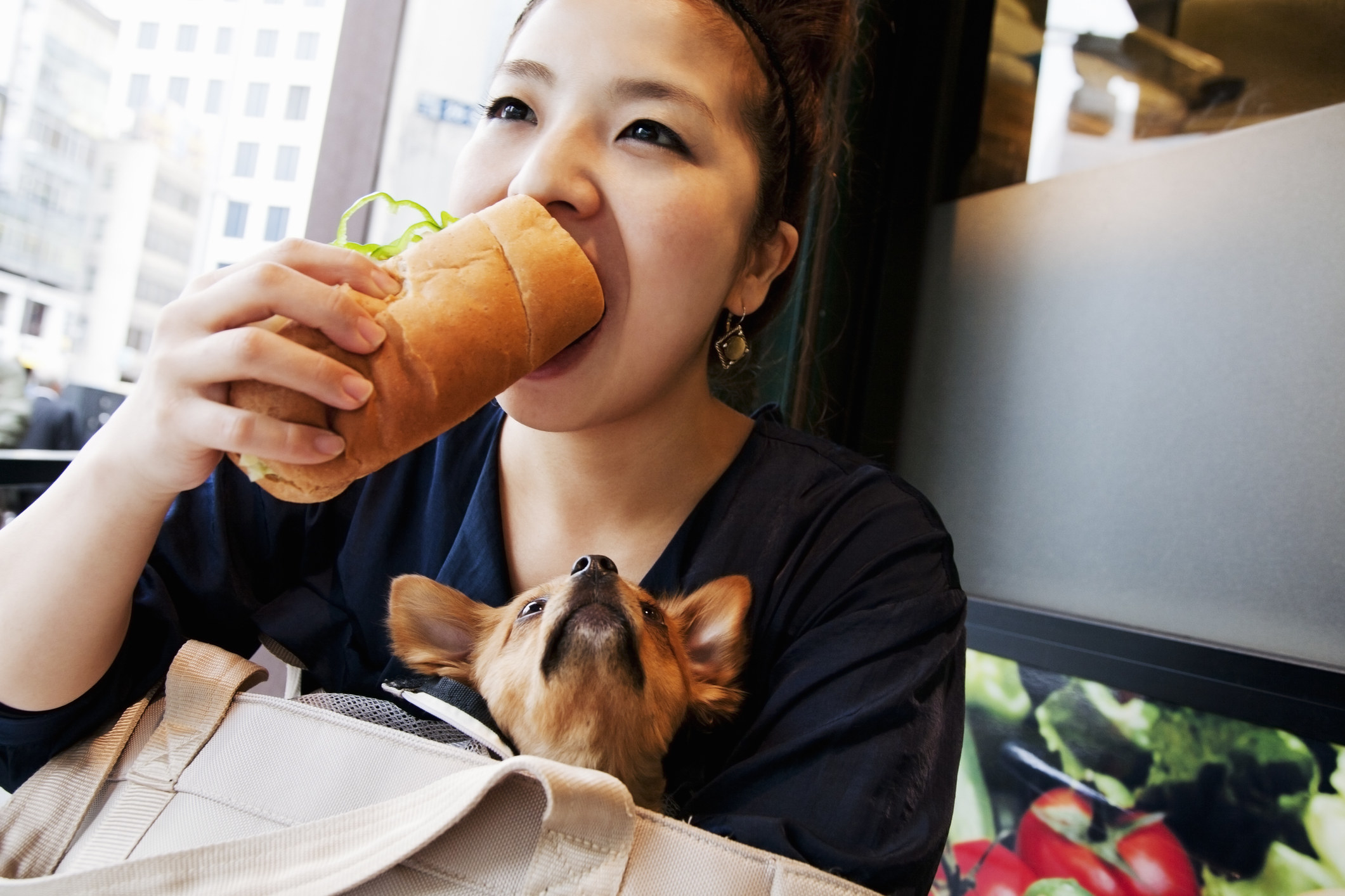 Woman eating a sandwich as her dog watches.