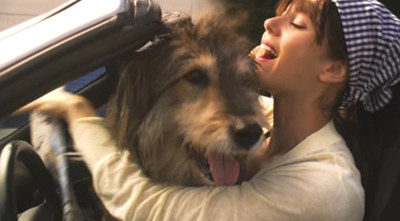 jenny holds a dog while driving a car