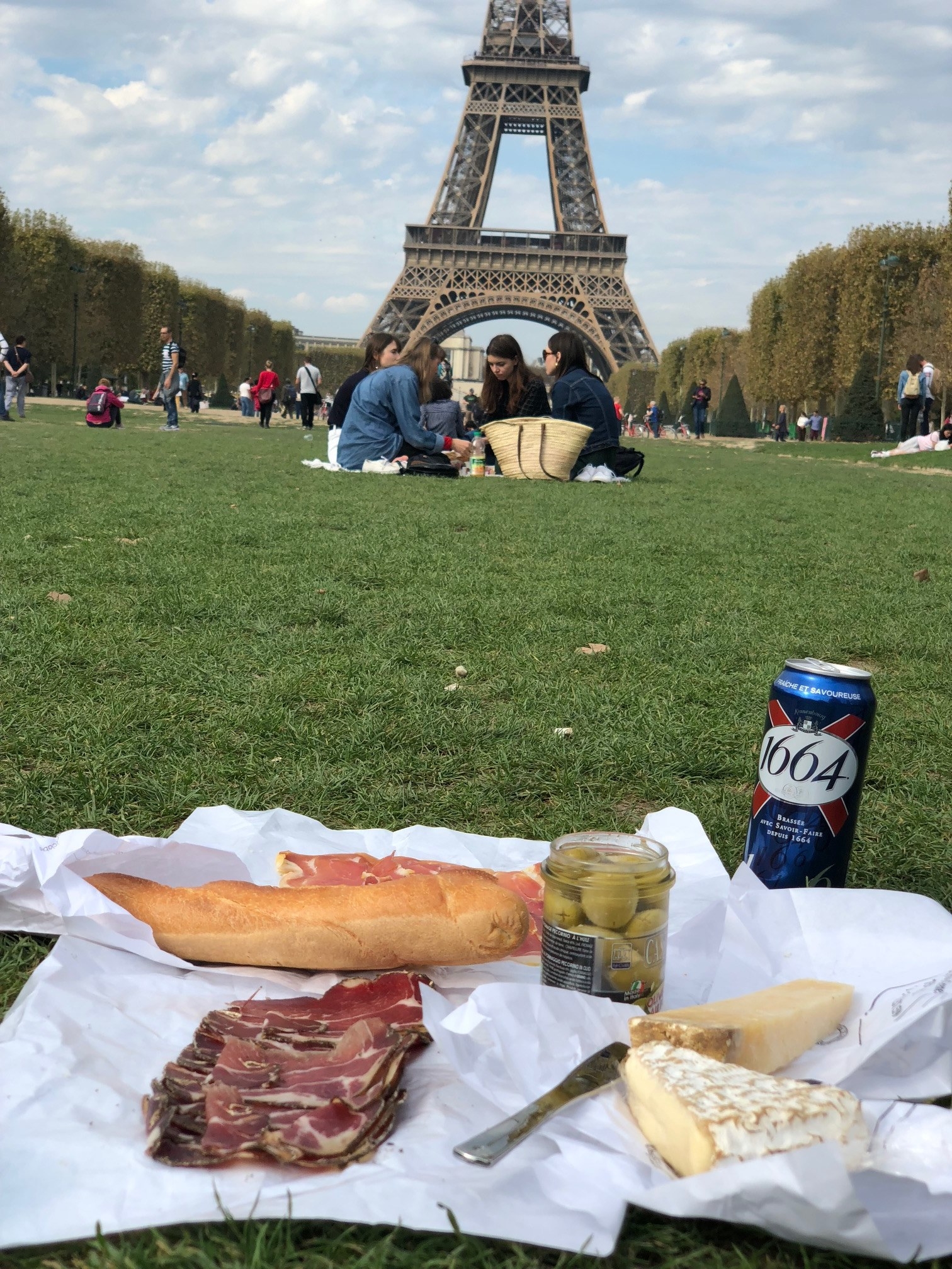 A picnic in Paris by the Eiffel Tower.