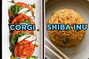 On the left, some caprese salad labeled corgi, and on the right, some fried rice labeled shiba inu
