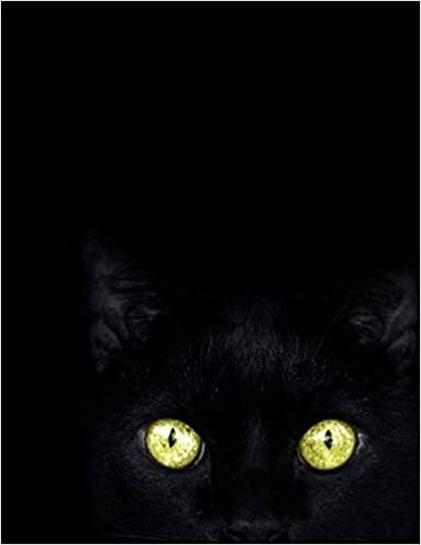 black cat journal