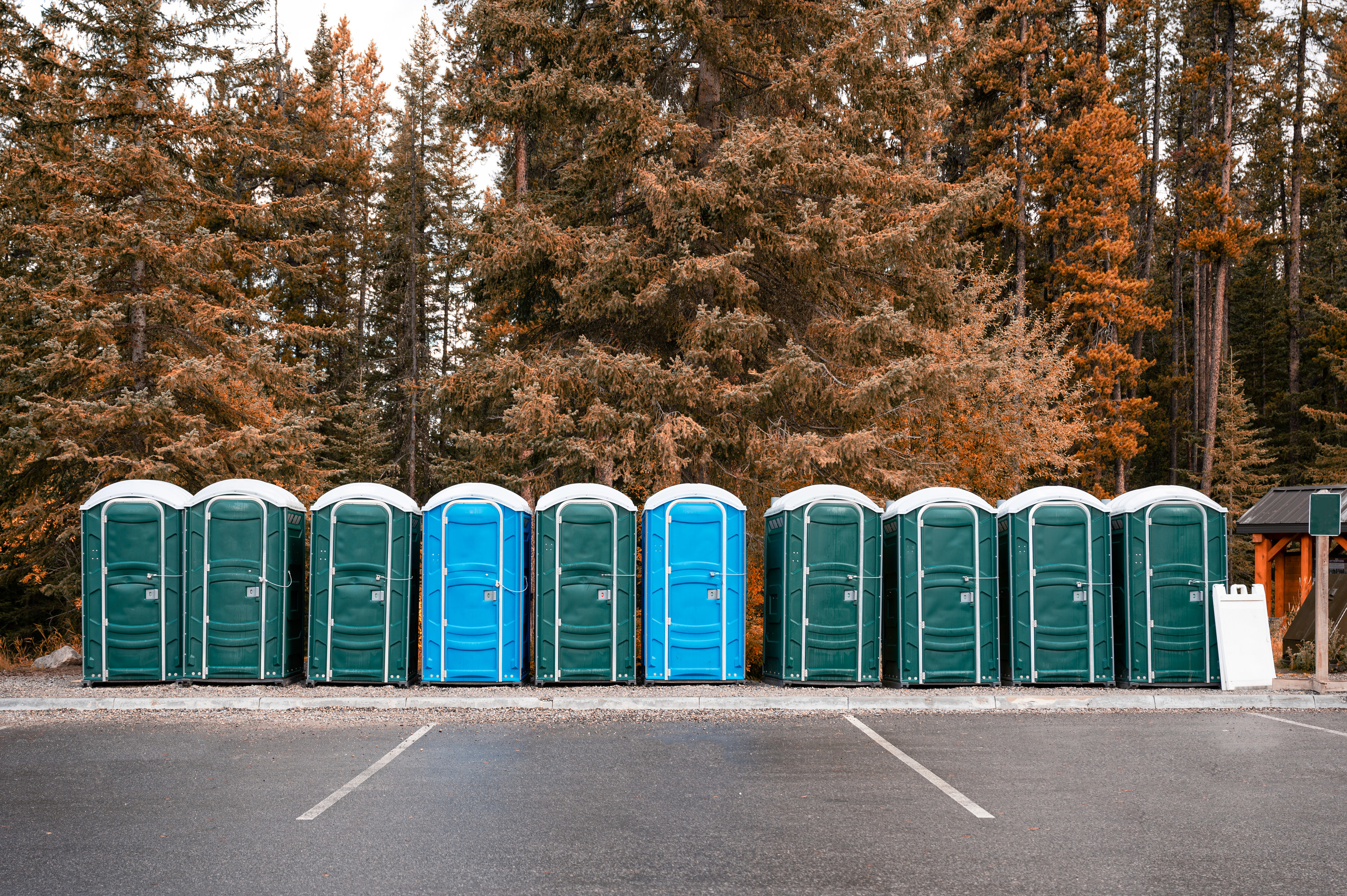 A row of portable toilets in a parking lot
