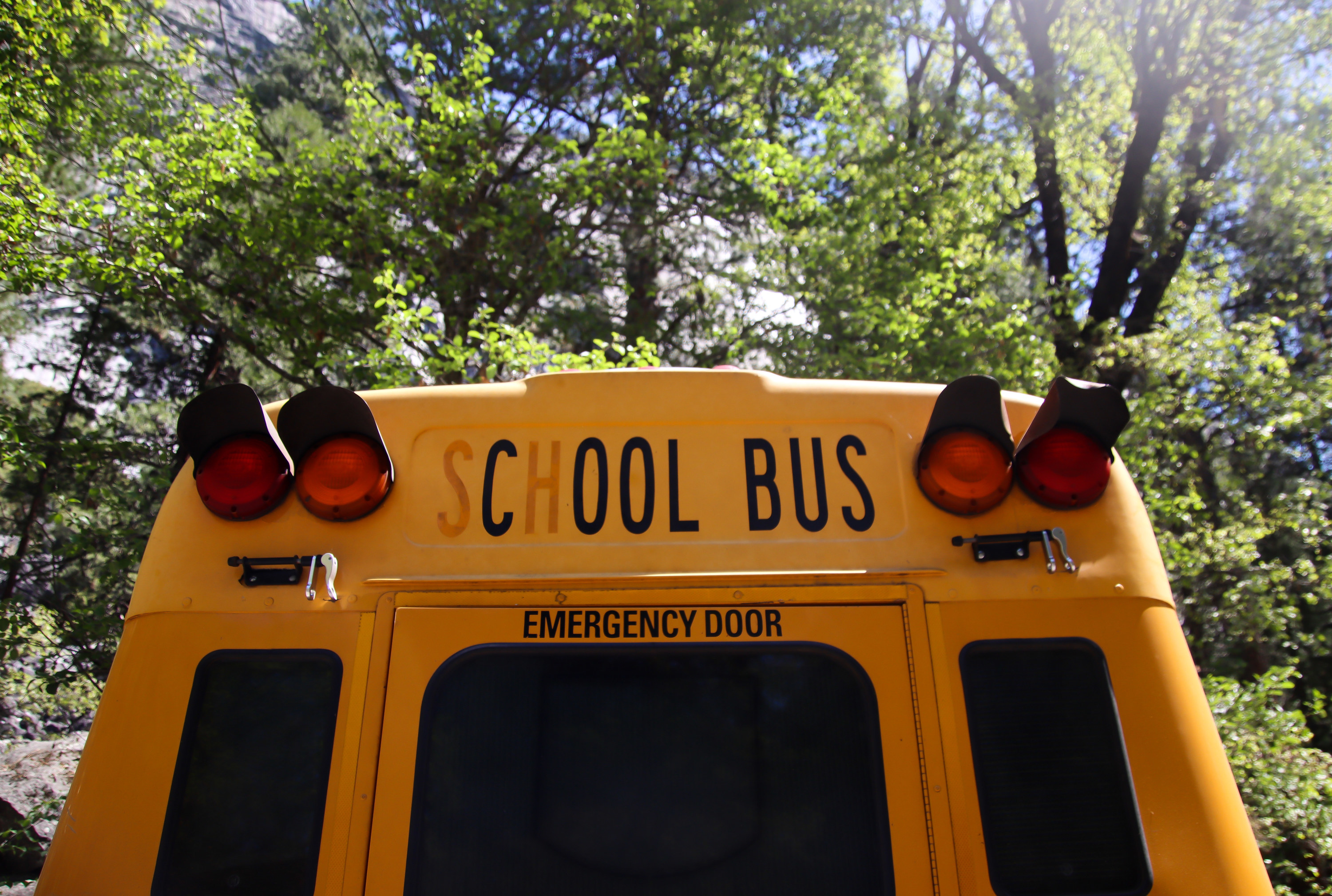 Close up of back of a school bus with letters lightened so it says cool bus