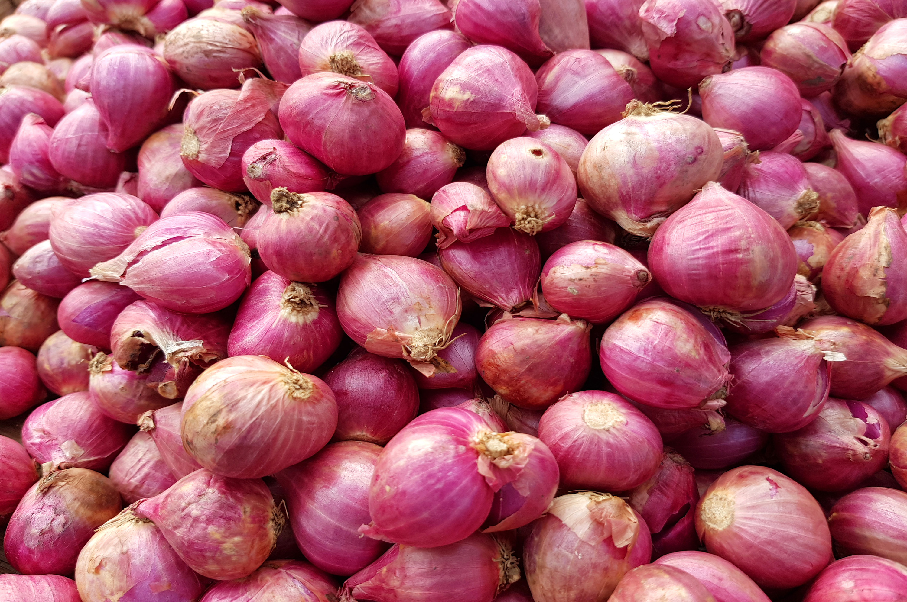 A pile of red onions