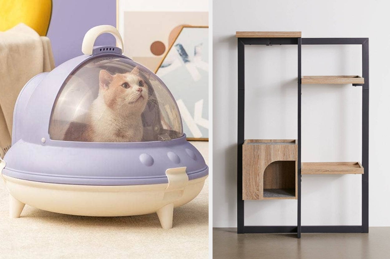 a cat in a UFO-shaped litter box; an industrial-style cat condo