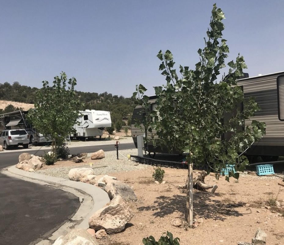 RVs parked along paved area