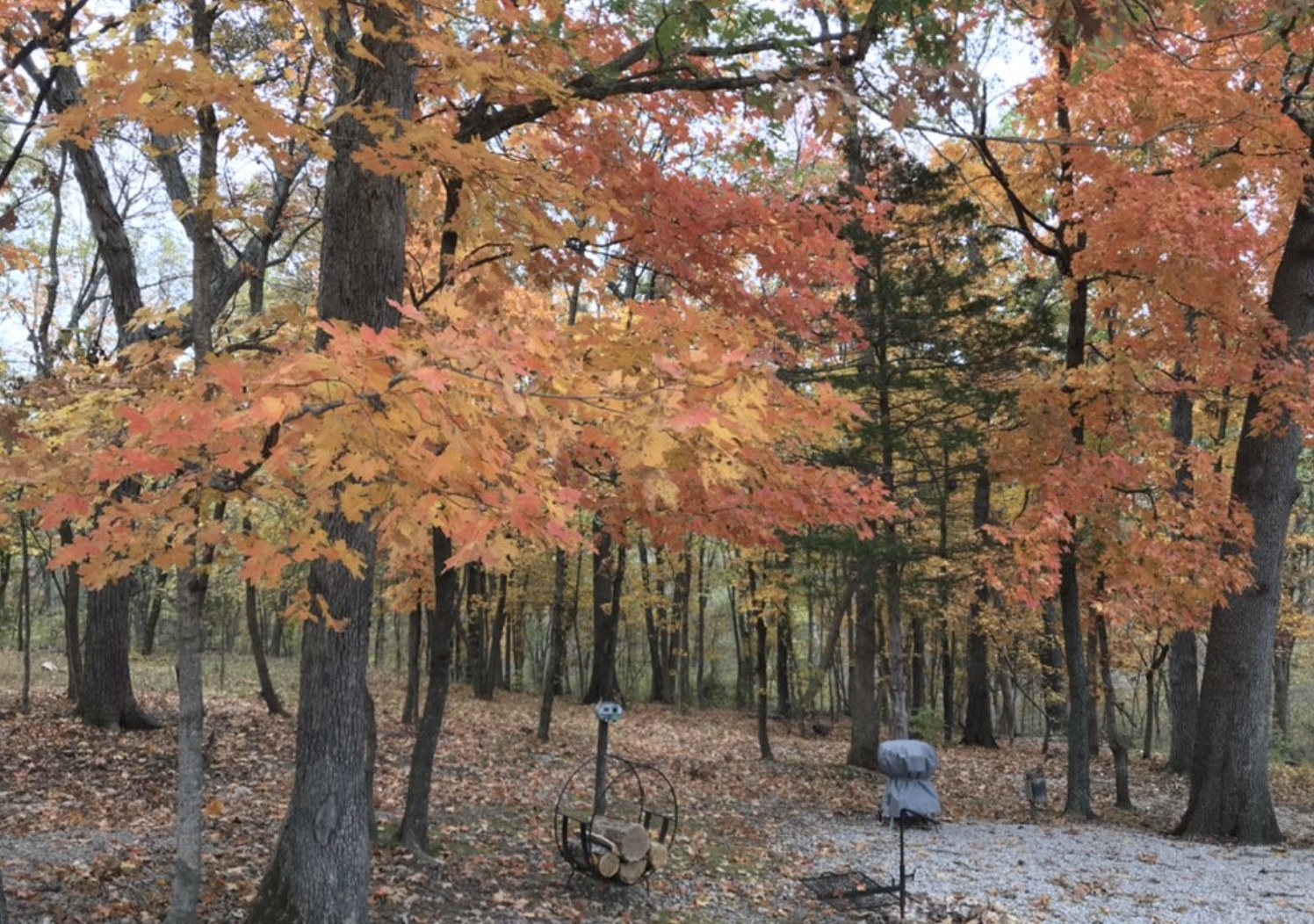 Campground in the fall