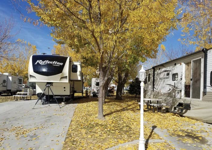 RVs parked under fall colors