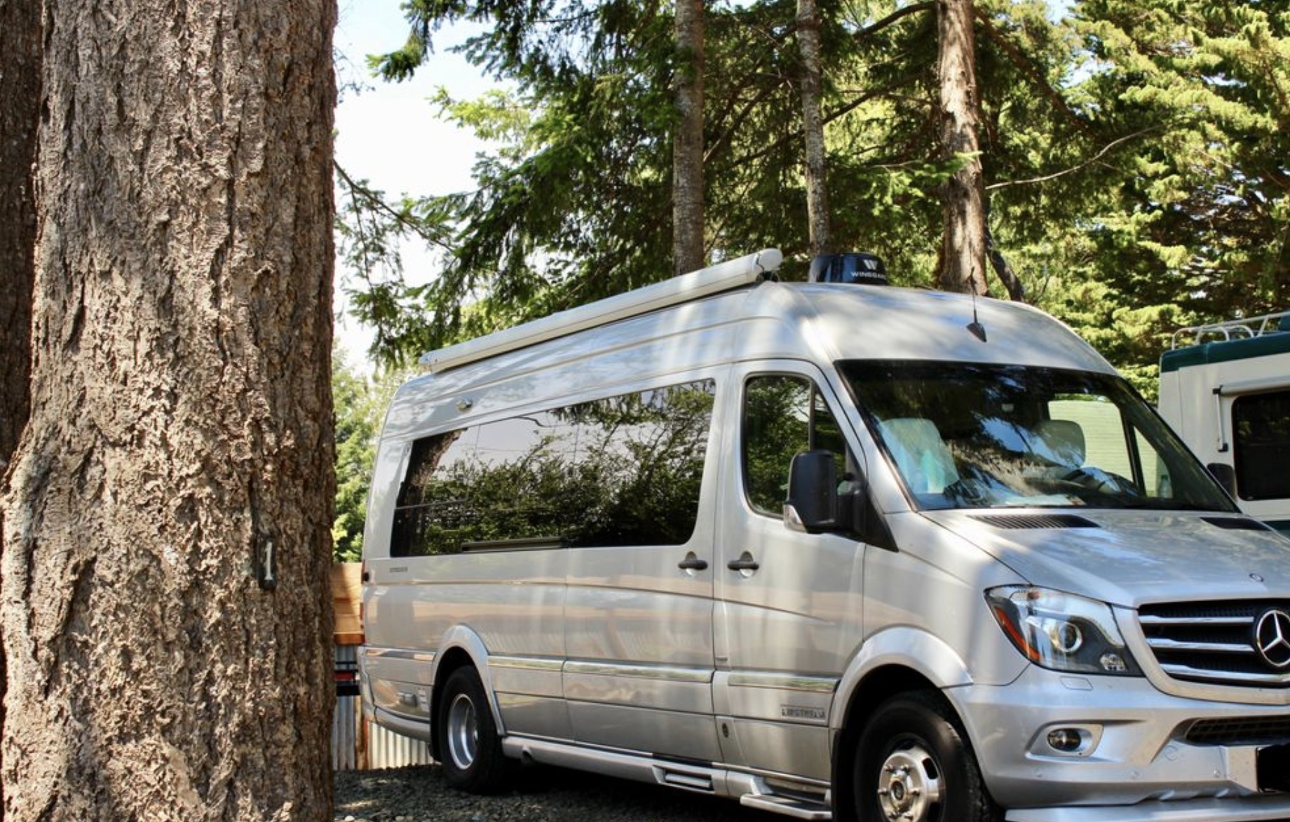 Small RV parked under a large tree