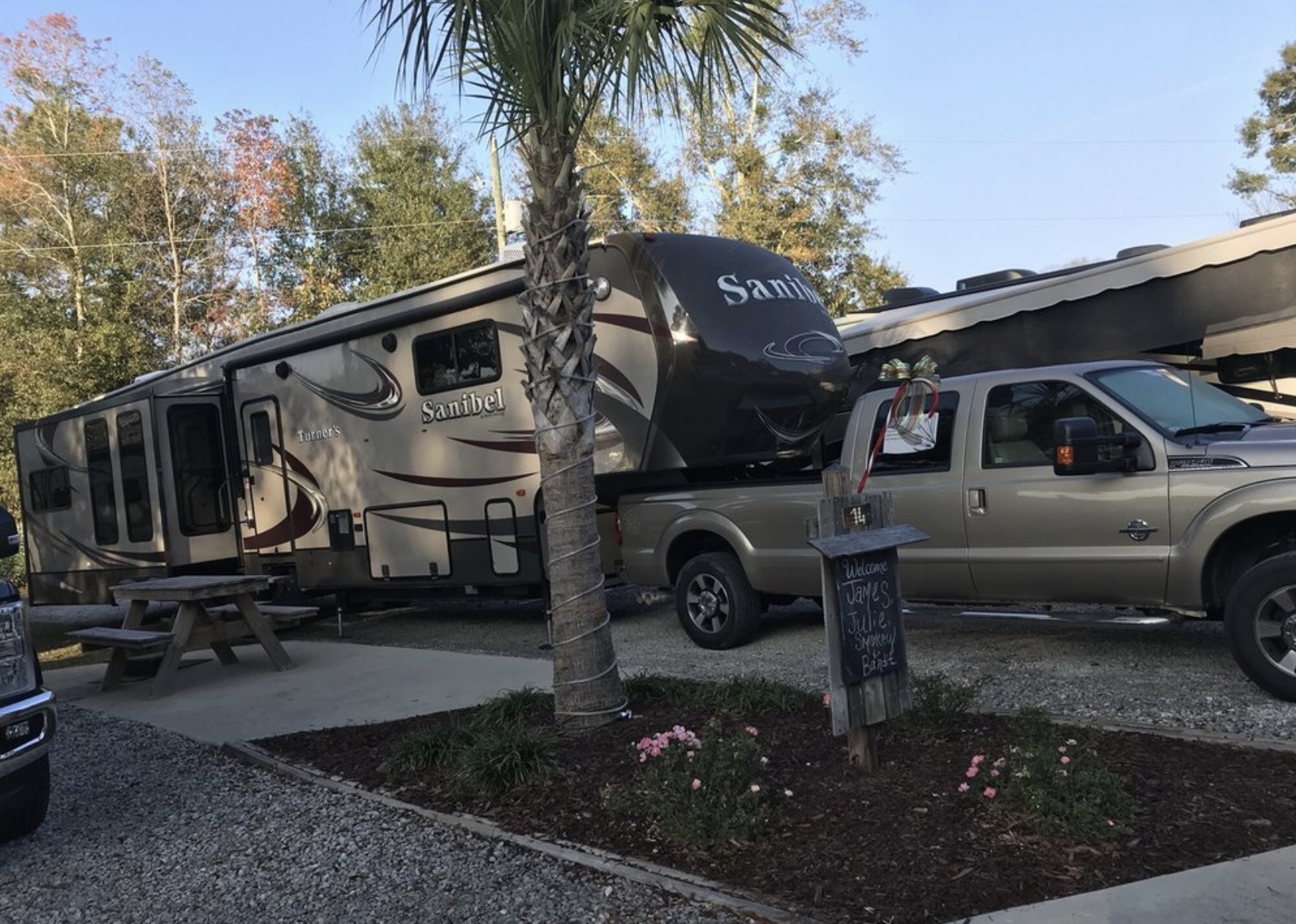 Truck and RV parked under a palm tree