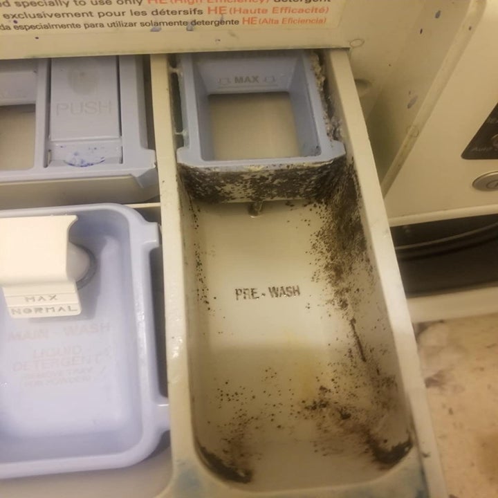 moldy washing machine