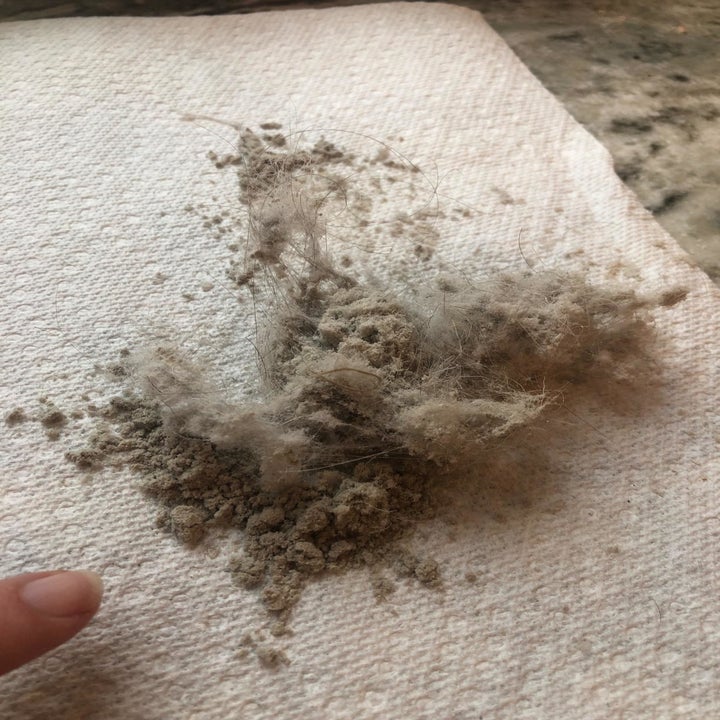 Reviewer photo of two large chunks of dust and debris that the vacuum removed from the mattress
