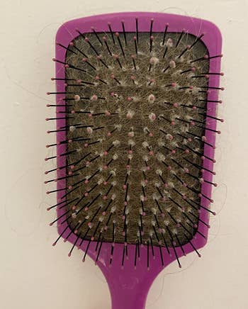 A reviewer's hairbrush caked with hair, truthful you can't adjacent spot the basal holding the bristles