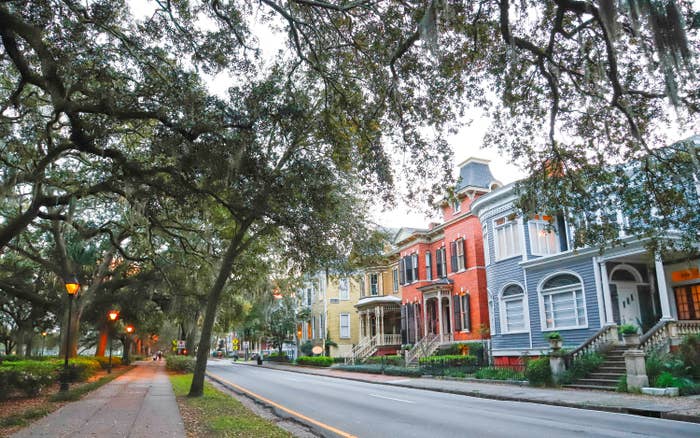 Colorful homes on a treelined street