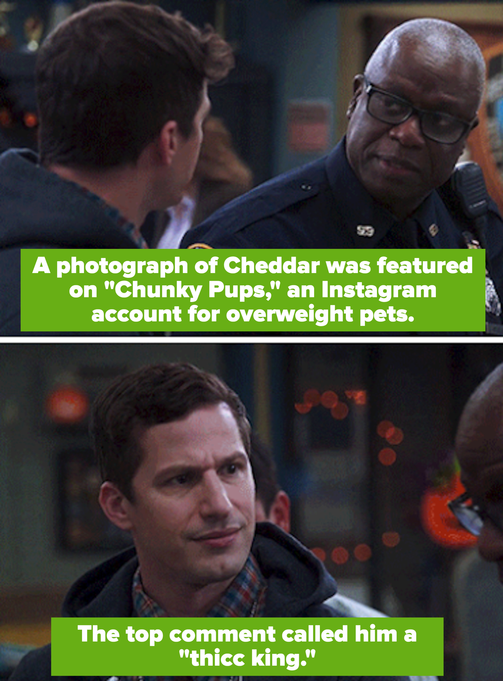 Holt to Jake: &quot;A photograph of Cheddar was featured on &#x27;Chunky Pups&#x27; an Instagram account for overweight pets. The top comment called him a &#x27;thicc king&#x27;&quot;