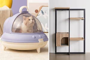 a cat in a UFO-shaped litter box; an industrial-style cat condo