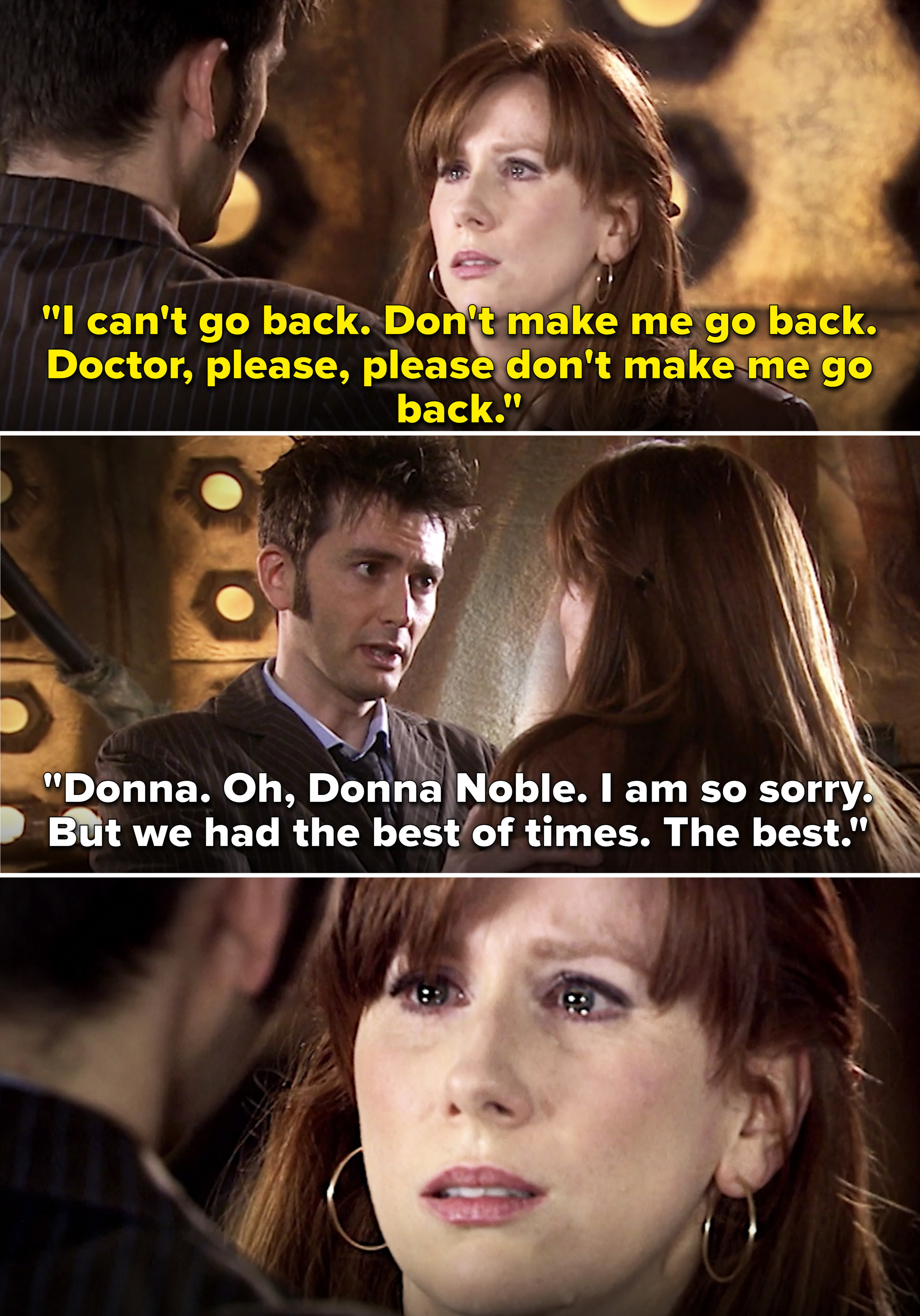 Donna pleading with the Doctor not to go back and Doctor saying, &quot;I am so sorry. But we had the best of times&quot;