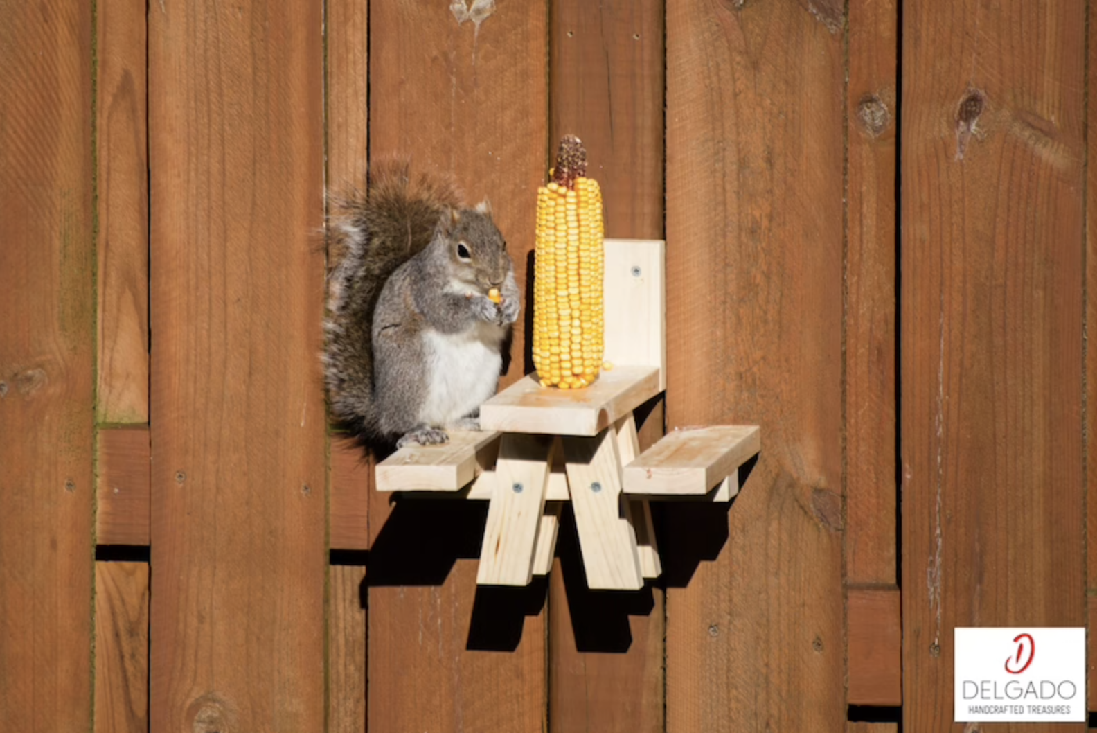 a squirrel nibbling on corn on the cob while standing on a small picnic table that is screwed into a fence