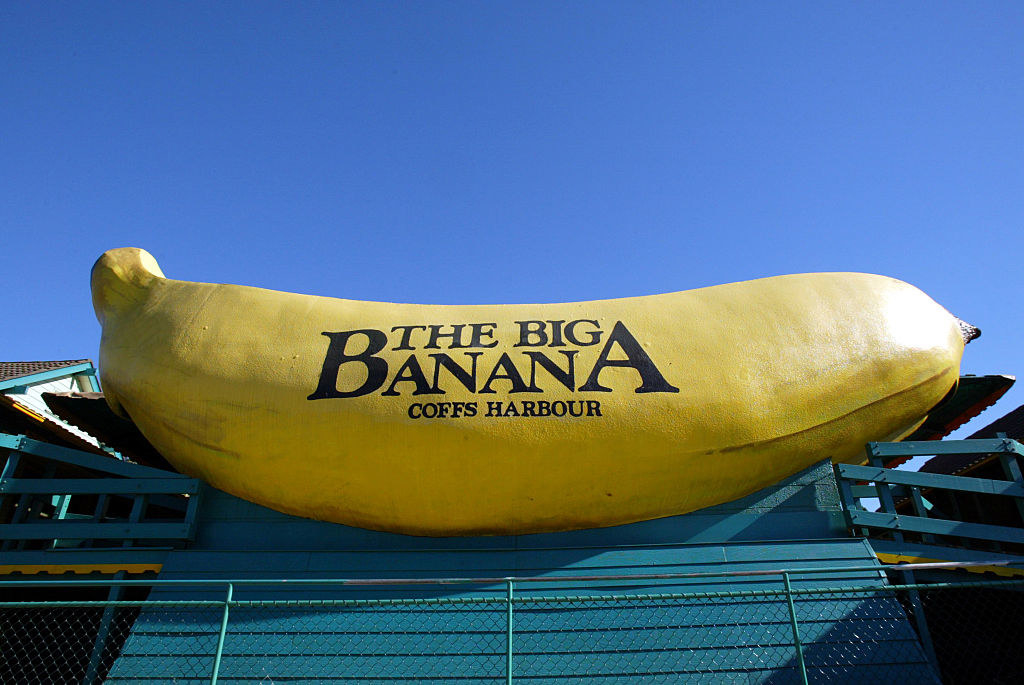 The Big Banana