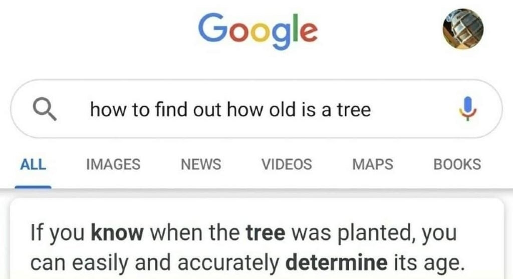 google search for how old is a tree and it reads if you know when a tree was planted you can easily and accurately determine its age