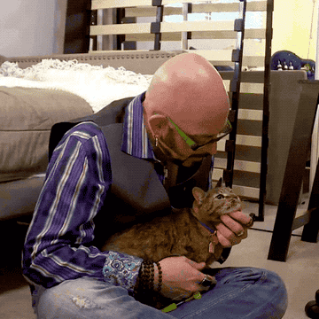 A person kissing a cat on the head