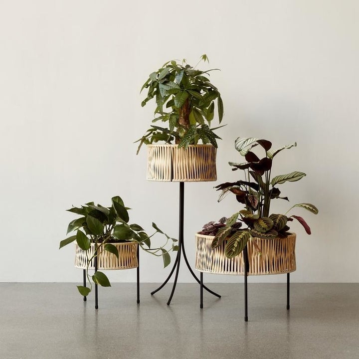 three rattan planters with shallow round baskets and sleek metal legs
