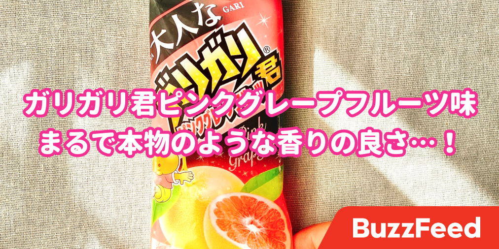 一年待ち望むレベルでウマい ガリガリ君の おとな味 が本格的すぎる