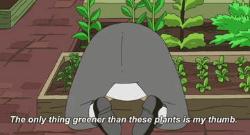 Cartoon man tending to his plants while shaking his butt and saying &quot;The only thing greener than these plants is my thumb.&quot;
